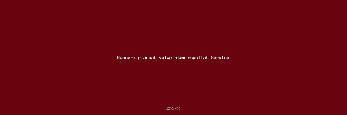 placeat voluptatem repellat Service